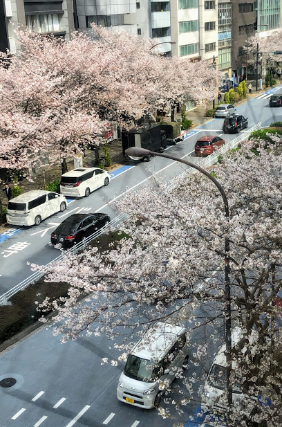 zen place pilates by BASI Ebisu studio